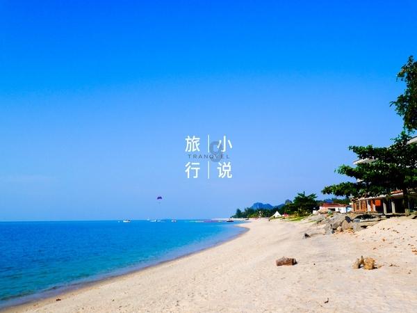逃离森林边缘