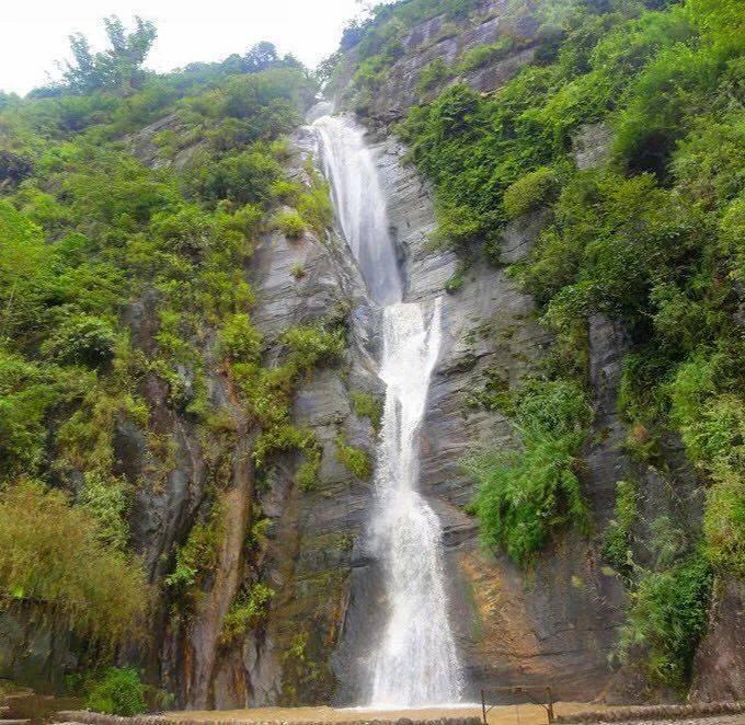 迷失在荒野